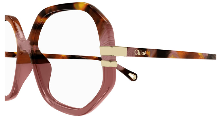 Chloé CH0107O 015 54