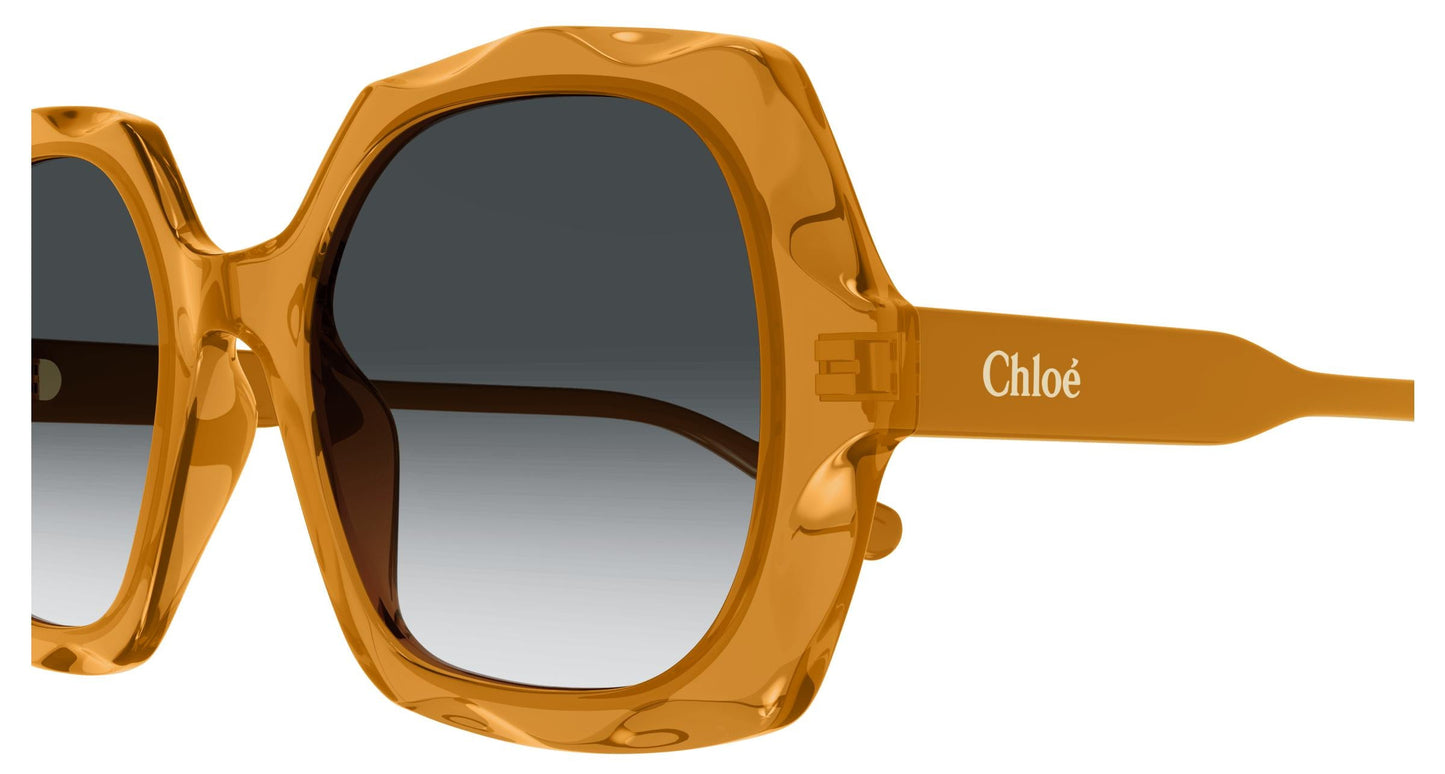 Chloé CH0226S 004 53