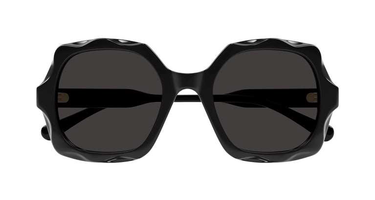 Chloé CH0226S 005 53