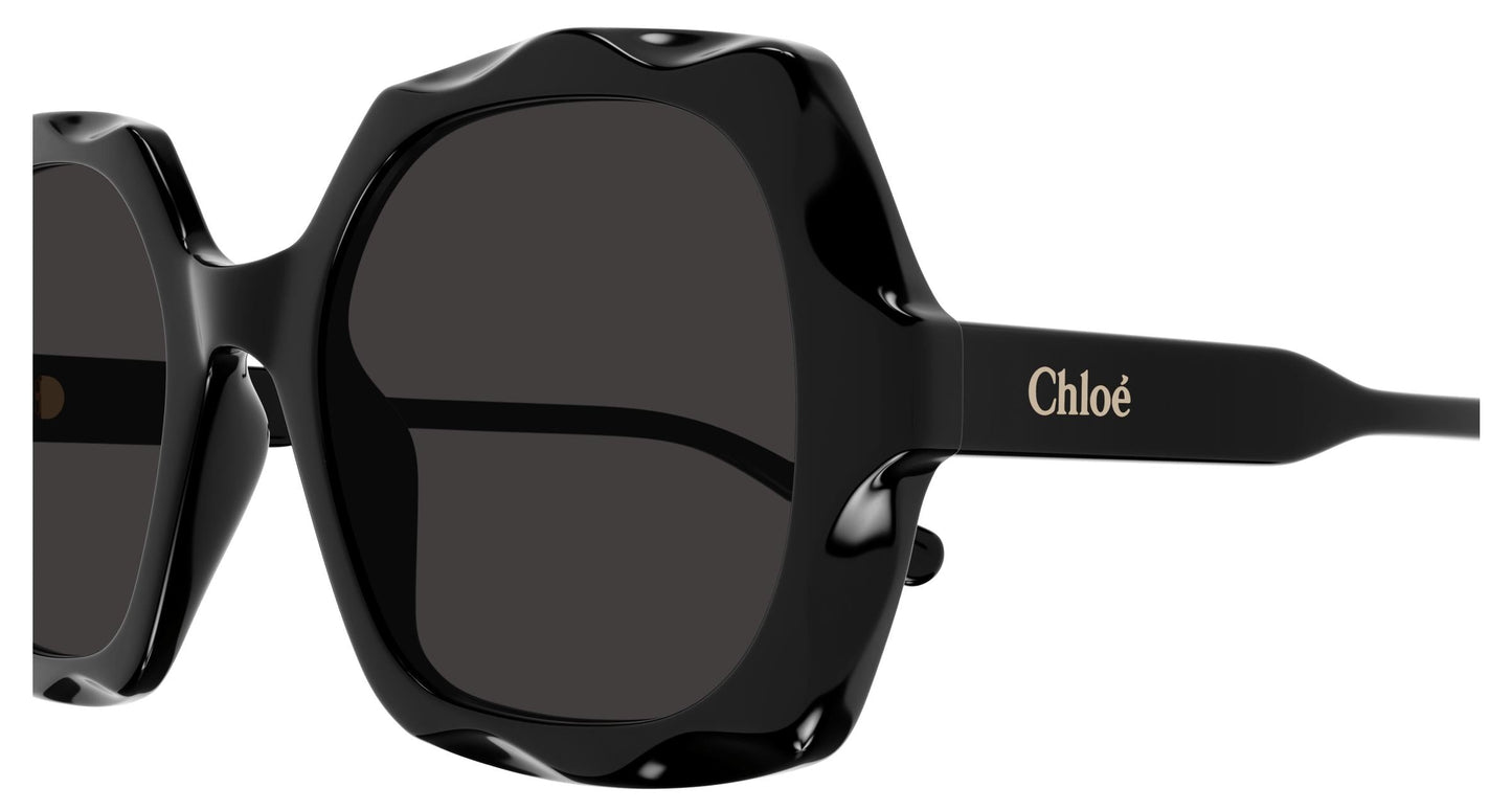 Chloé CH0226S 005 53