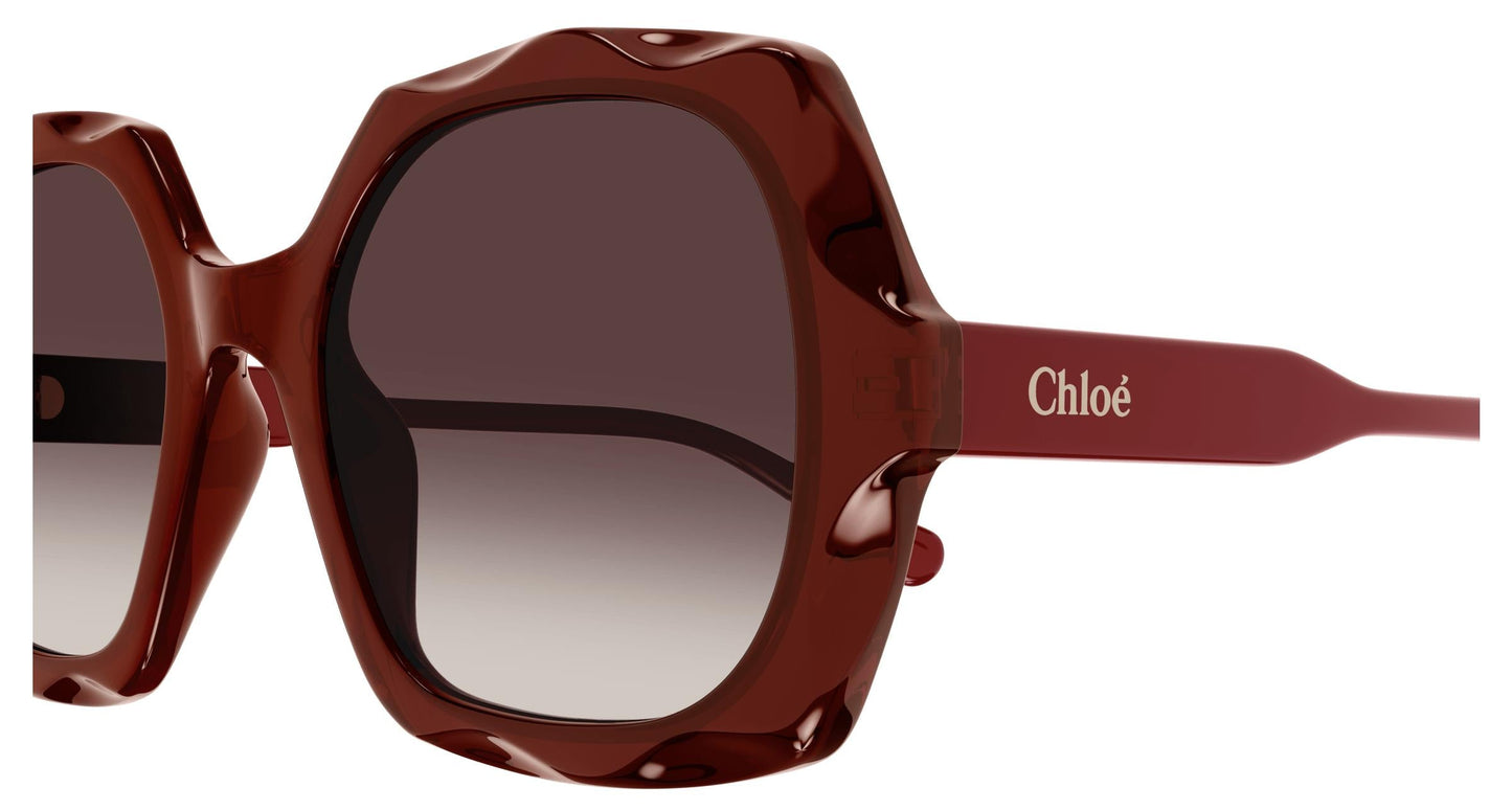 Chloé CH0226S 006 53