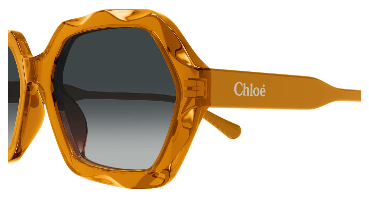 Chloé CH0227S 004 56