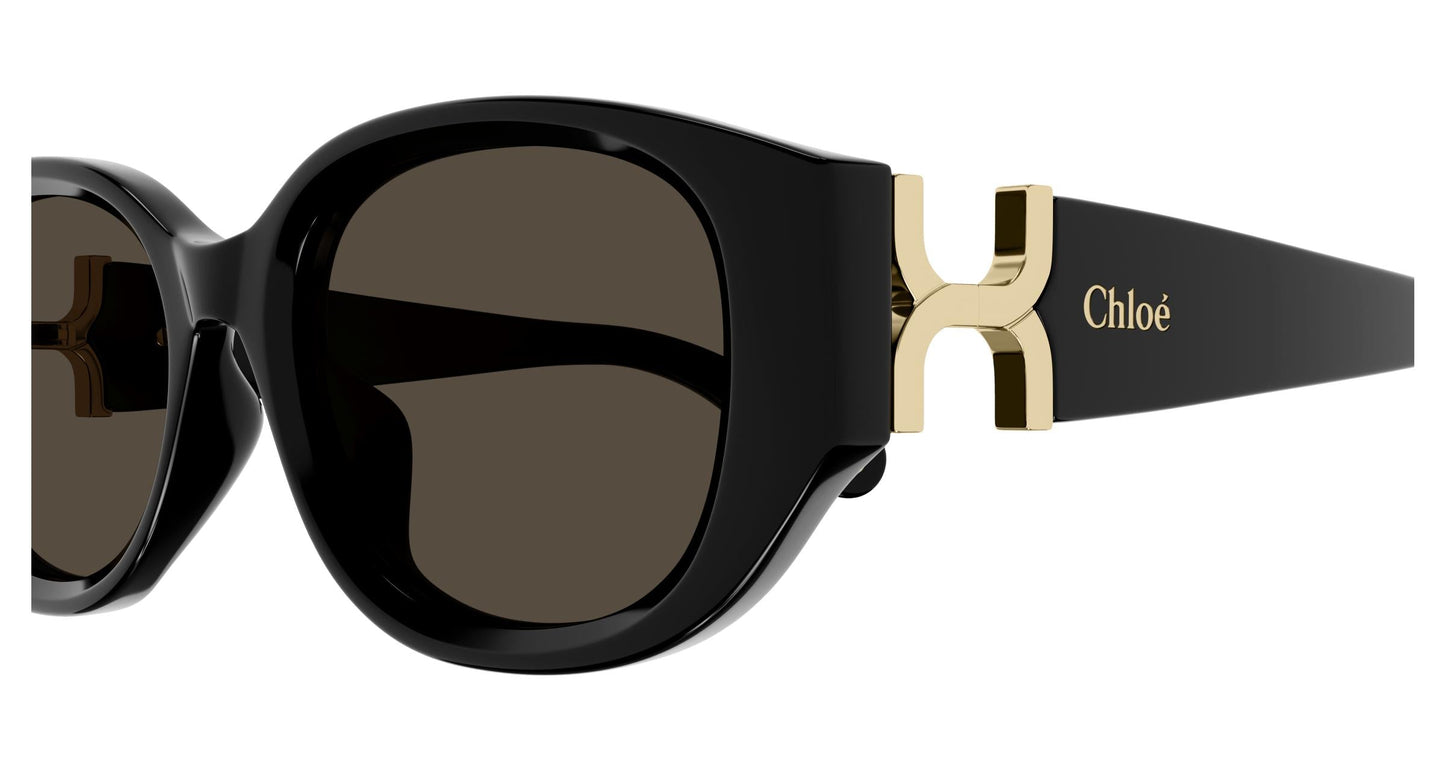 Chloé CH0237SK 001 54