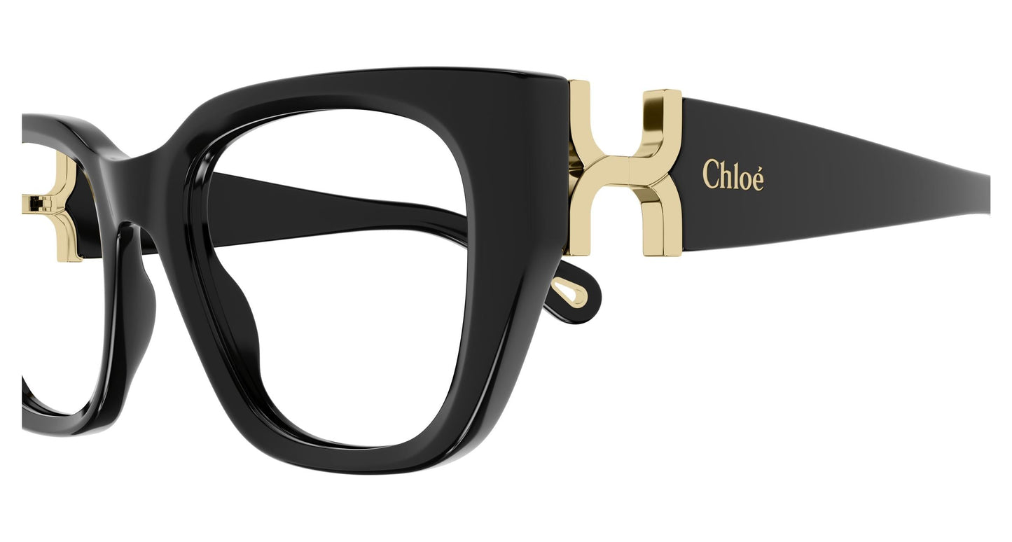 Chloé CH0238O 001 51