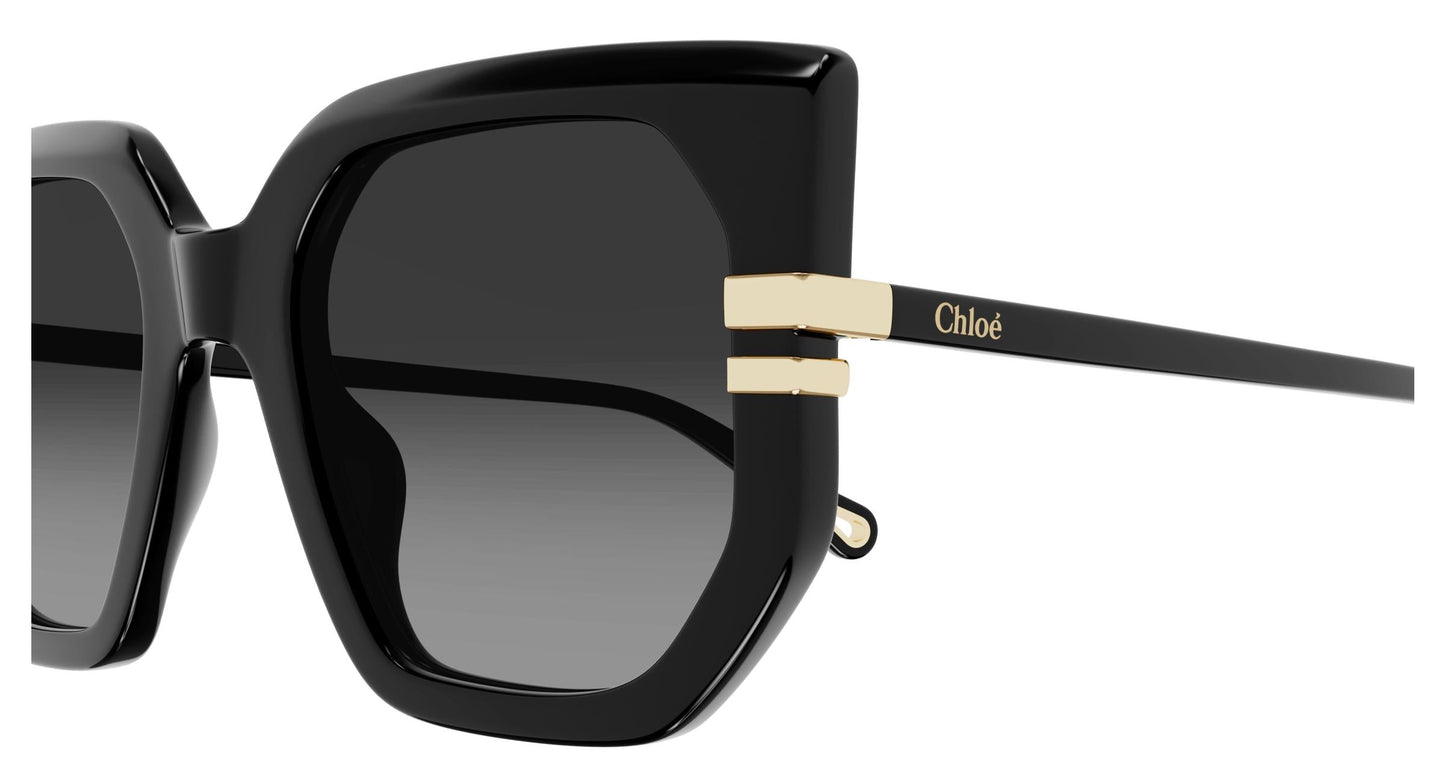 Chloé CH0240S 001 53
