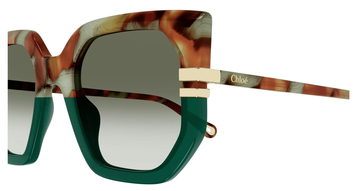 Chloé CH0240S 005 53