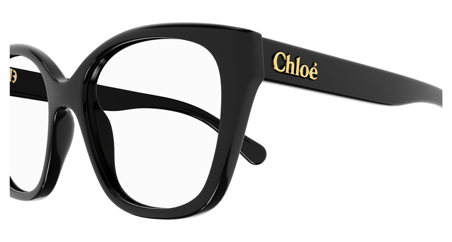 Chloé CH0241O 001 53