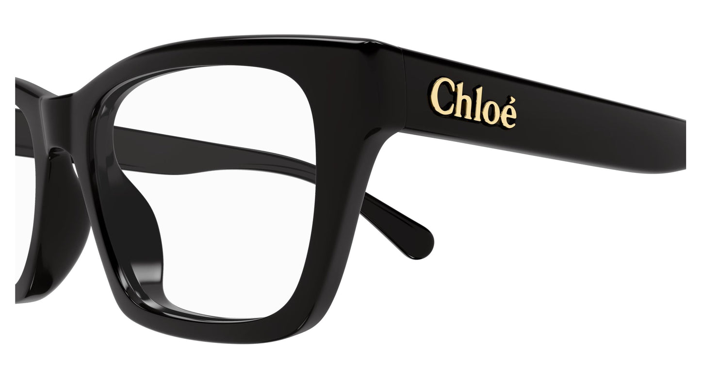 Chloé CH0242O 005 53