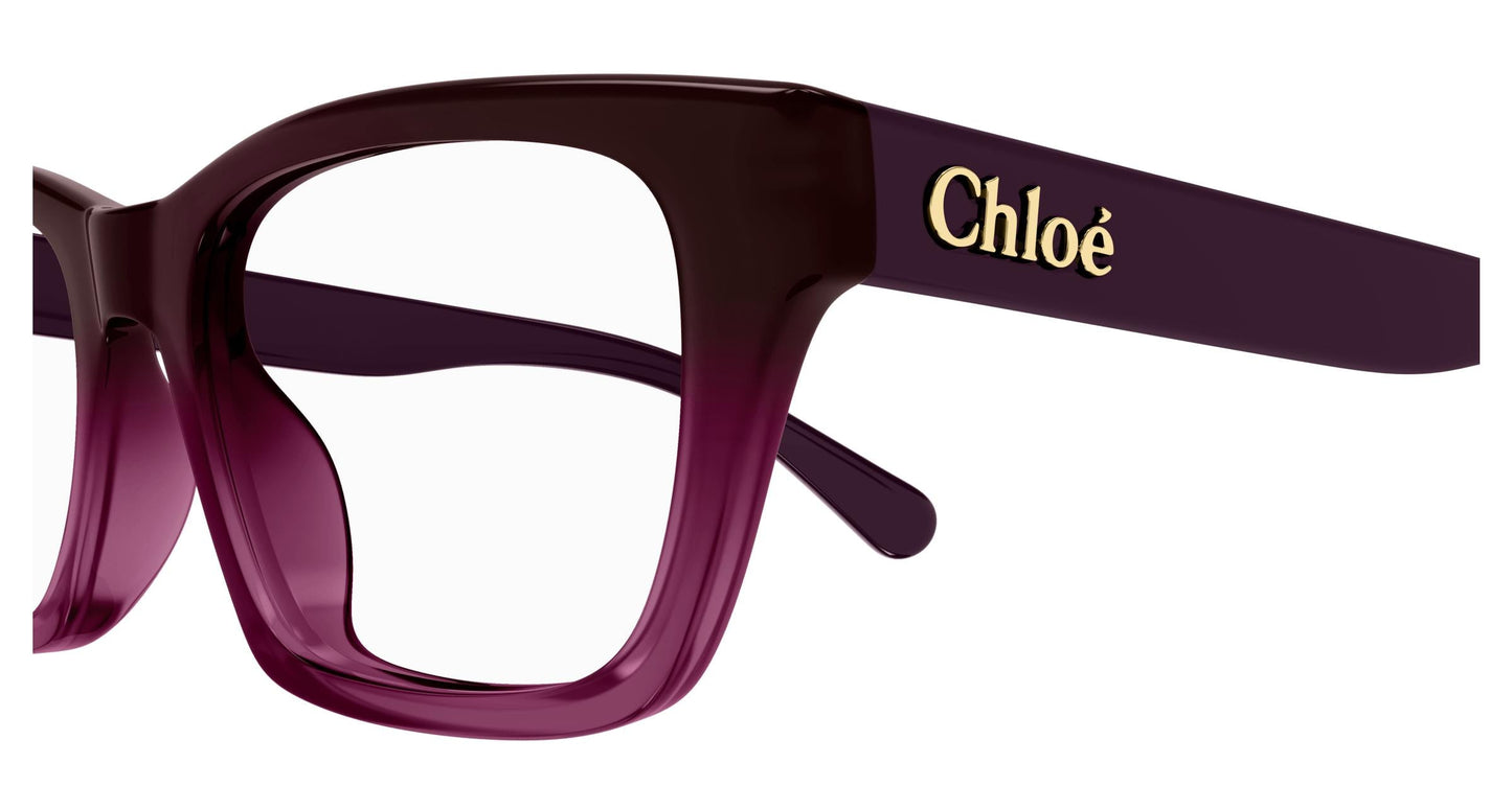 Chloé CH0242O 007 53