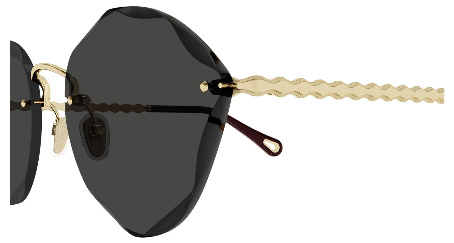 Chloé CH0253S 001 58