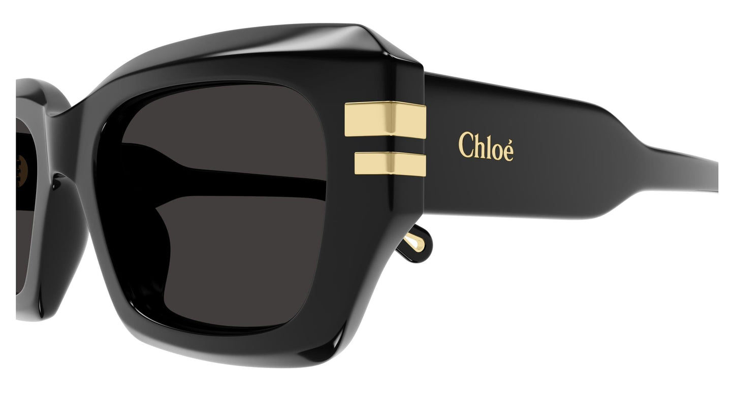 Chloé CH0256S 001 53