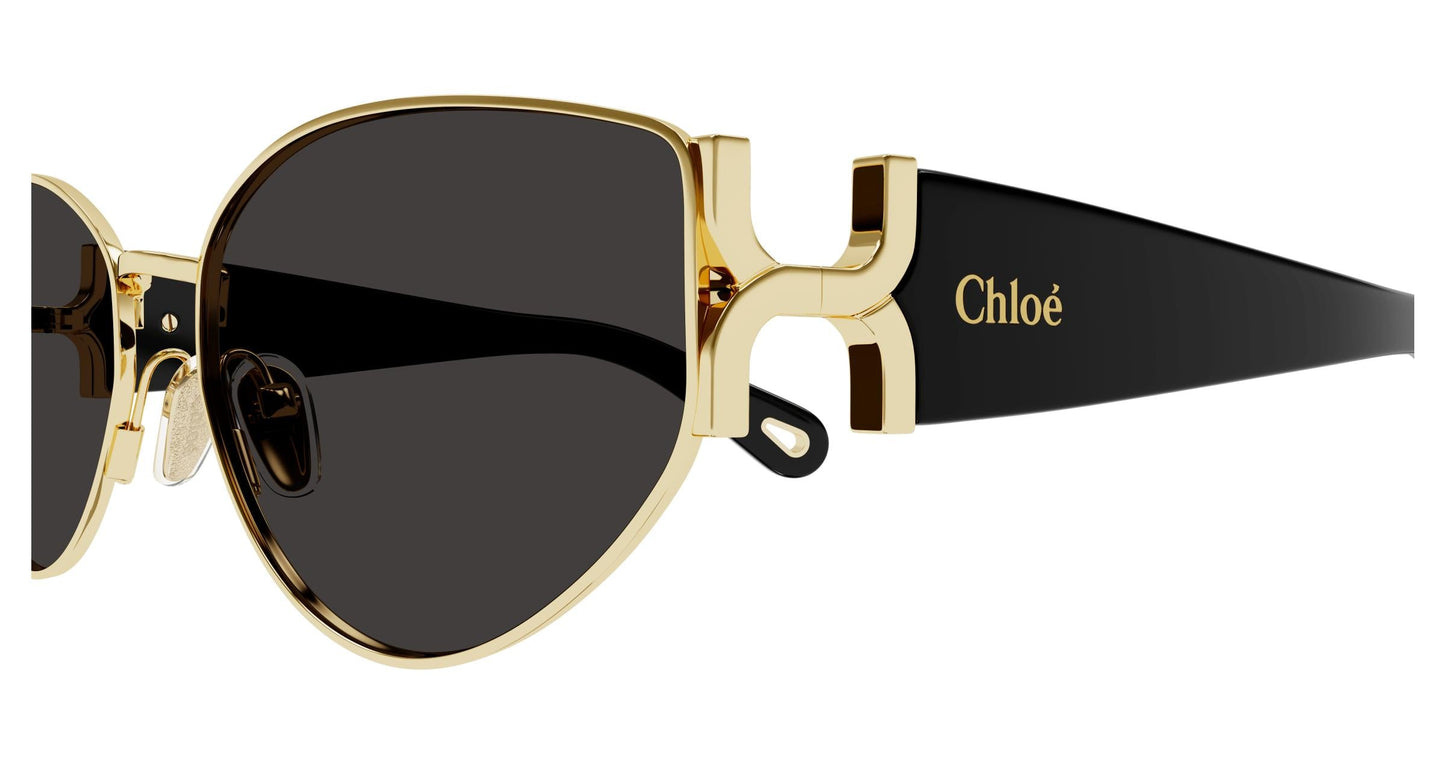 Chloé CH0260S 001 59