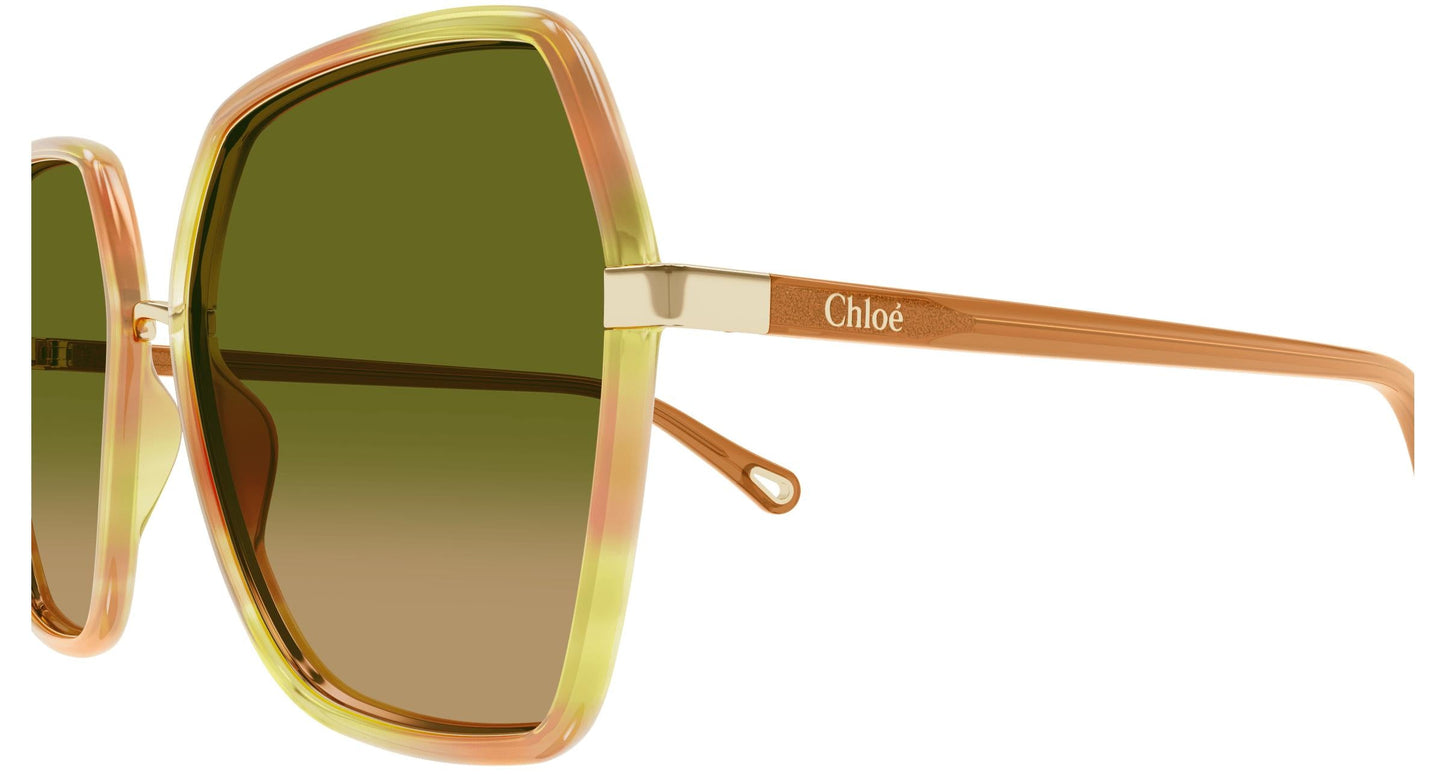 Chloé CH0262S 004 58