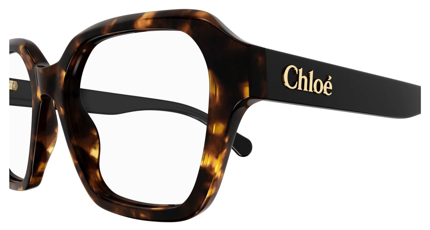 Chloé CH0272O 002 53