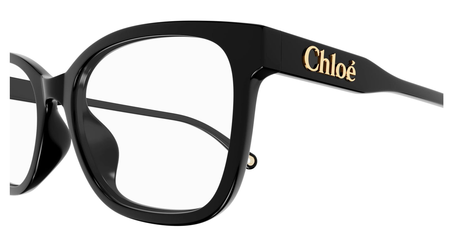 Chloé CH0276OA 001 54