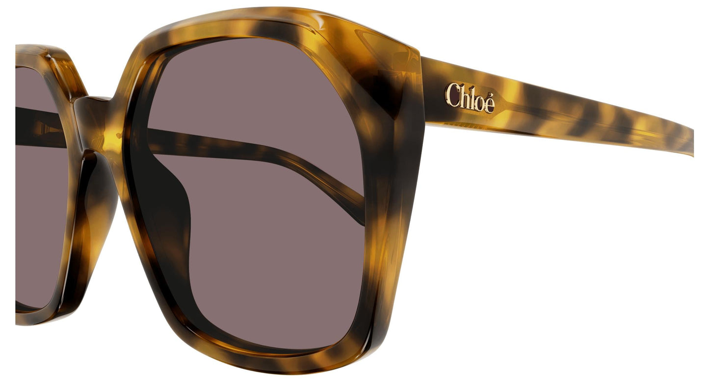Chloé CH0280S 004 57