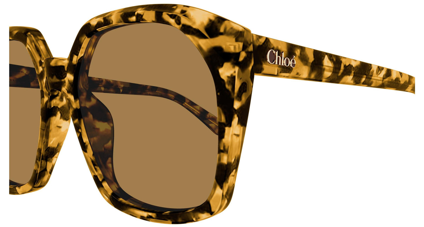 Chloé CH0280S 007 57
