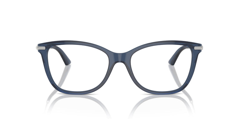 Jimmy Choo JC3007HB 5035 52