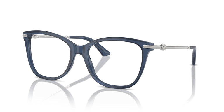 Jimmy Choo JC3007HB 5035 52