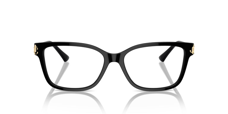 Jimmy Choo JC3012 5000 55