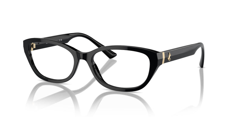 Jimmy Choo JC3015 5000 55