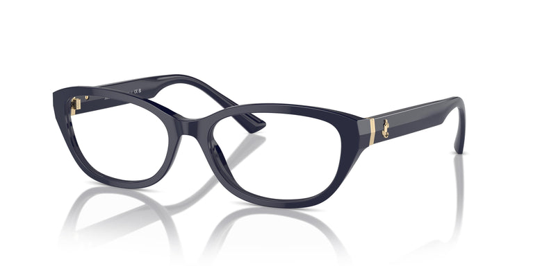 Jimmy Choo JC3015 5023 55