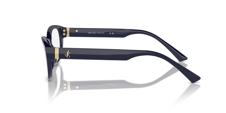 Jimmy Choo JC3015 5023 55