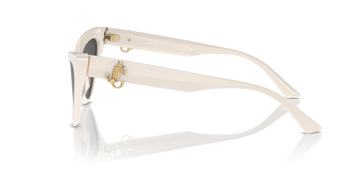 Jimmy Choo JC5008 500887 55