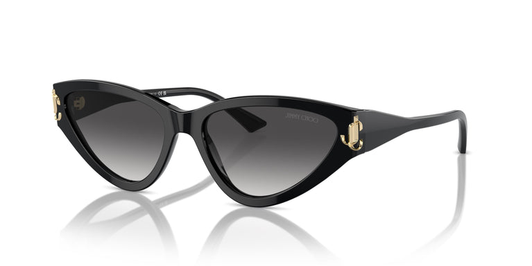 Jimmy Choo JC5019 50008G 55