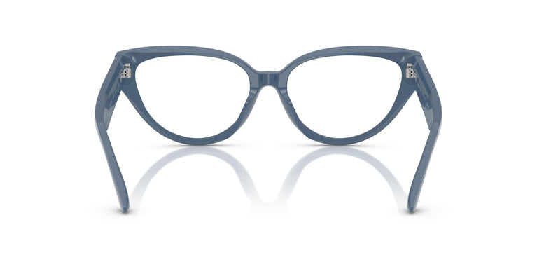 Jimmy Choo JC3023HU 5020 55