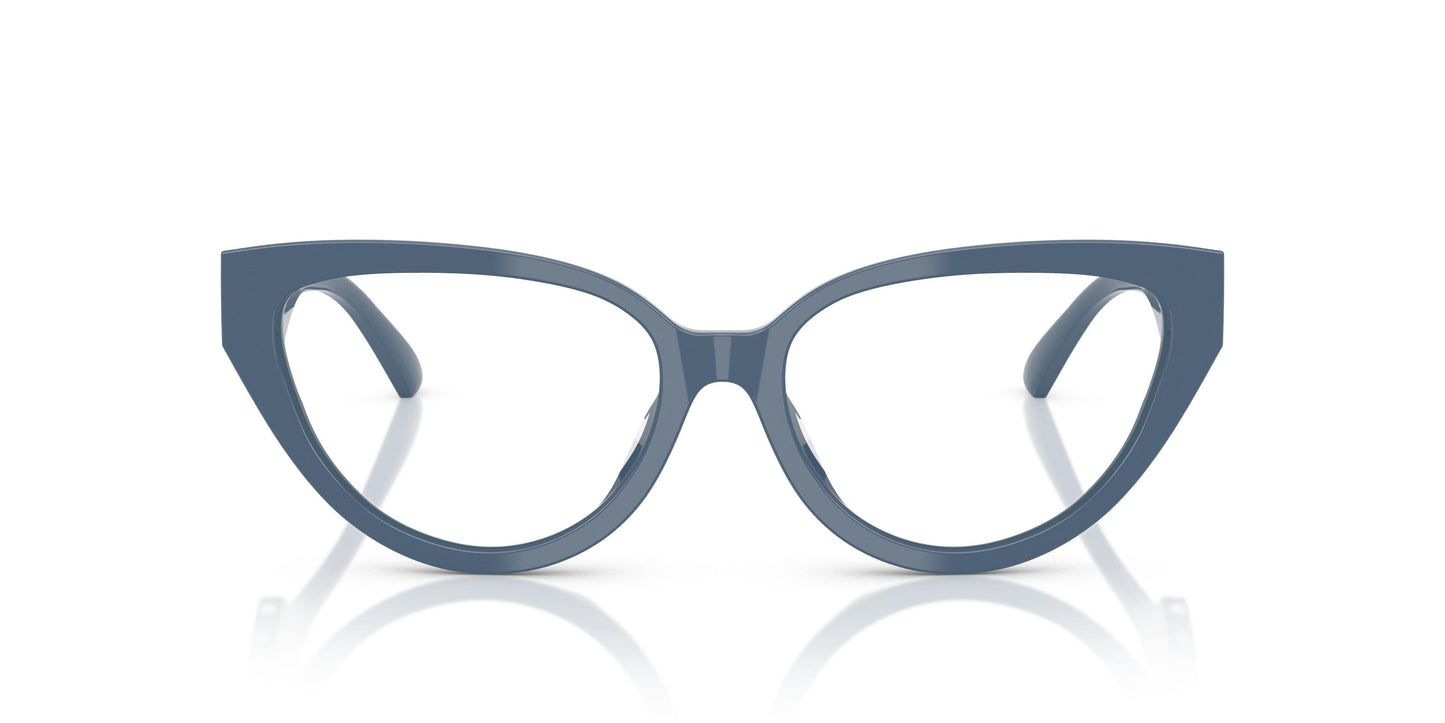 Jimmy Choo JC3023HU 5020 55