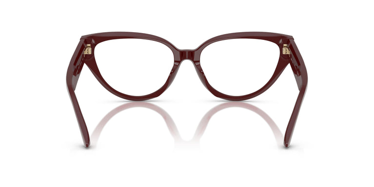 Jimmy Choo JC3023HU 5057 55
