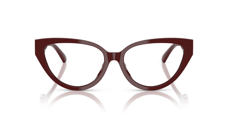 Jimmy Choo JC3023HU 5057 55