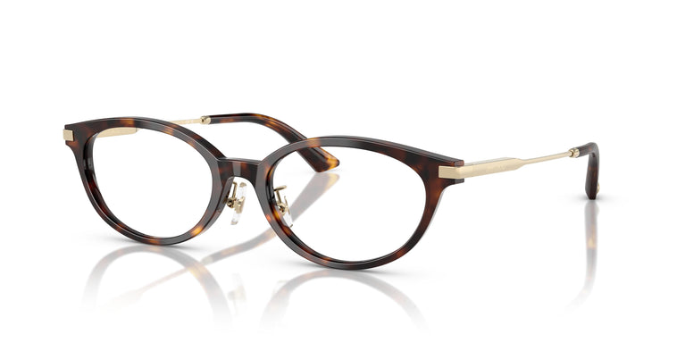 Jimmy Choo JC3029D 5002 52