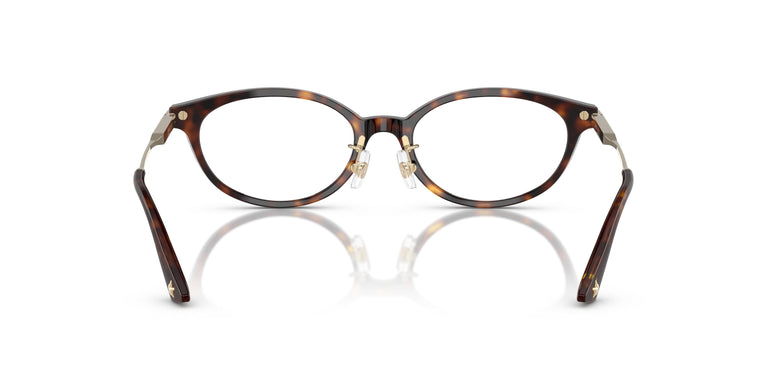 Jimmy Choo JC3029D 5002 52