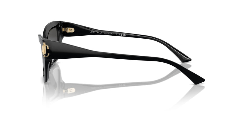 Jimmy Choo JC5011U 500087 55