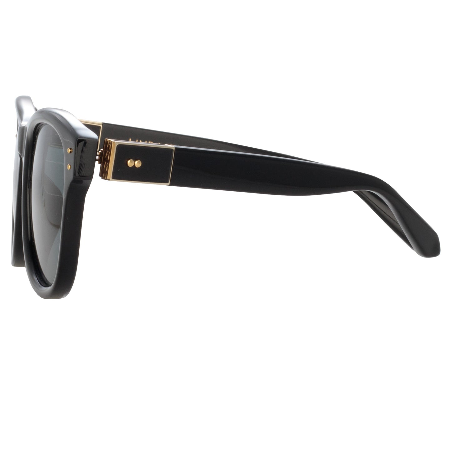 Linda Farrow Edson D-Frame Sunglasses in Black C4 55