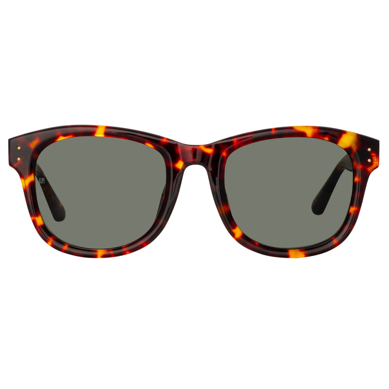 Linda Farrow Edson D-Frame Sunglasses in Tortoiseshell C5 55