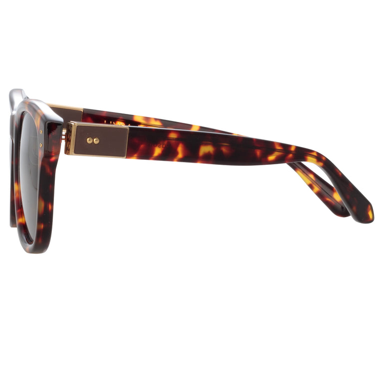 Linda Farrow Edson D-Frame Sunglasses in Tortoiseshell C5 55