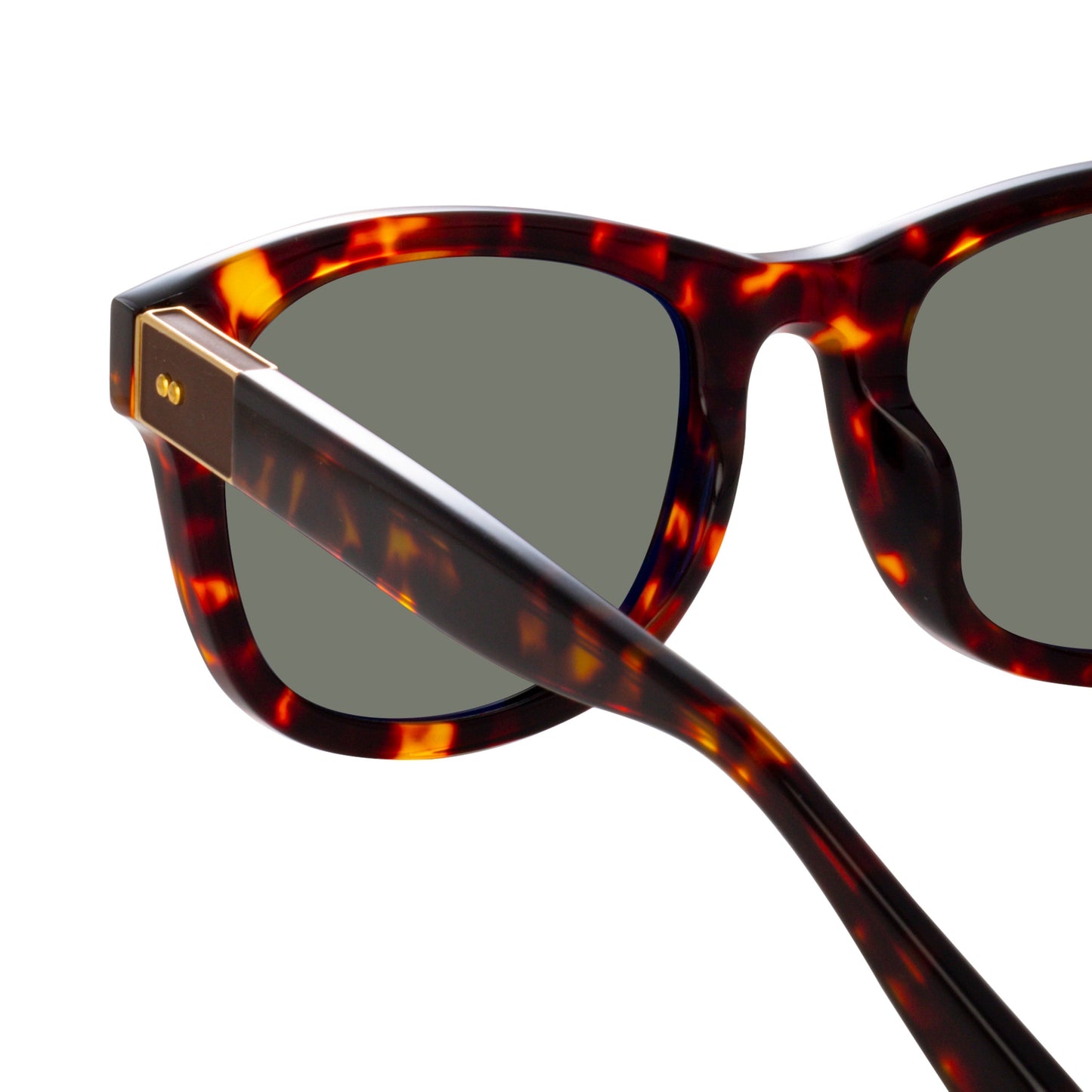 Linda Farrow Edson D-Frame Sunglasses in Tortoiseshell C5 55