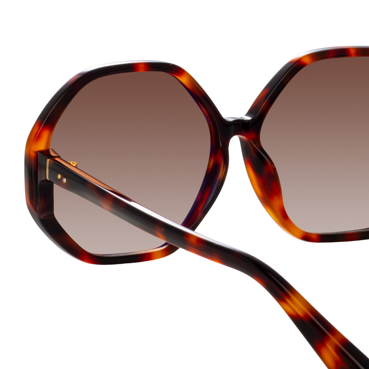 Linda Farrow Paloma Hexagon Sunglasses in Tortoiseshell C2 61