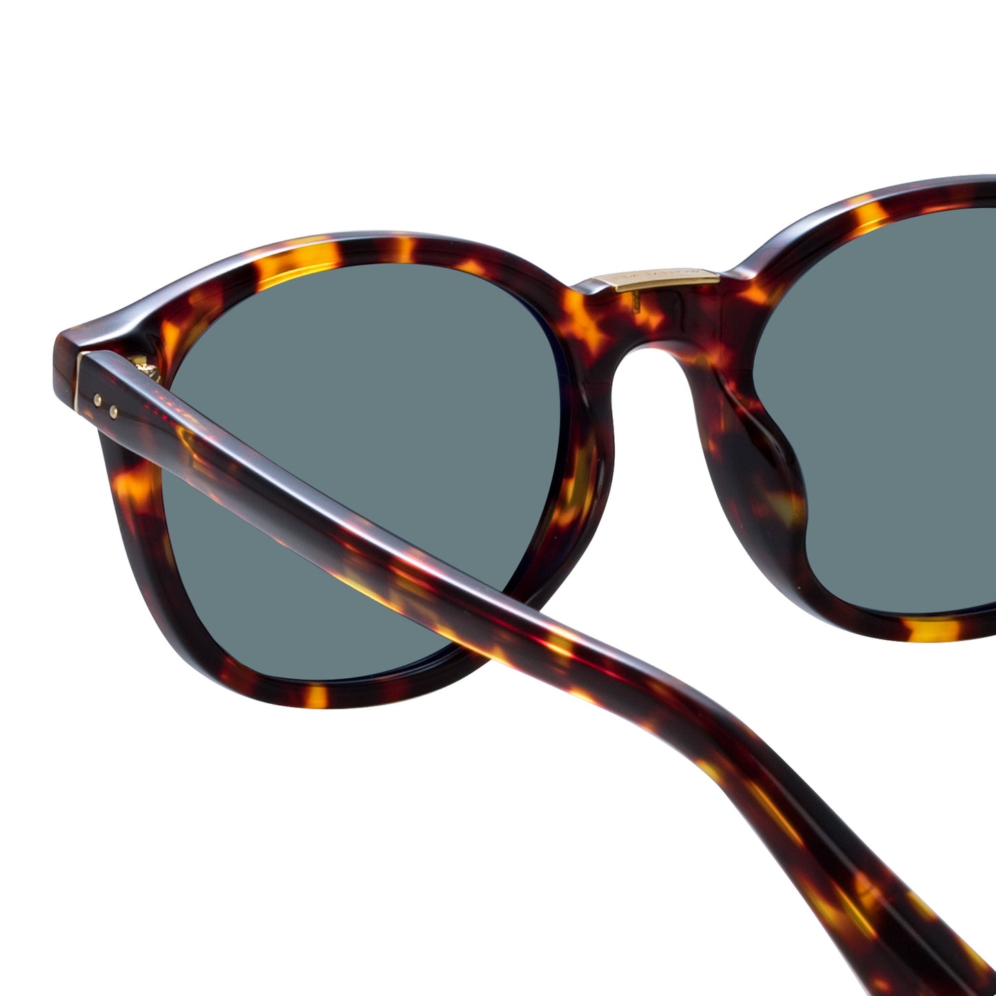 Linda Farrow Men's Powell D-Frame Sunglasses in Tortoiseshell C5 51