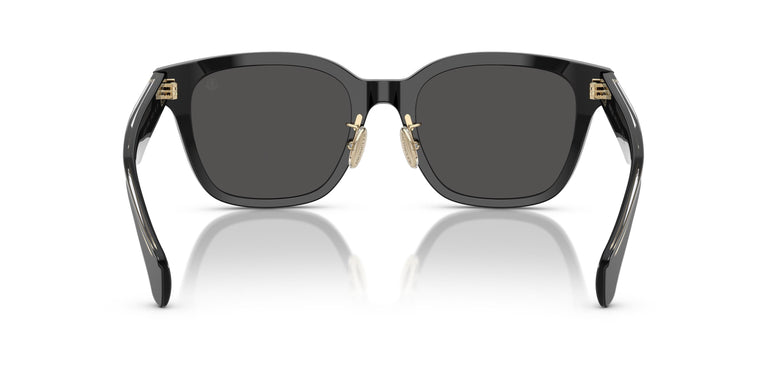 Moncler ME6002D METROPE 300187 54