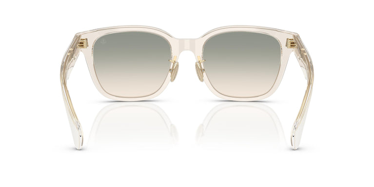 Moncler ME6002D METROPE 30032C 54