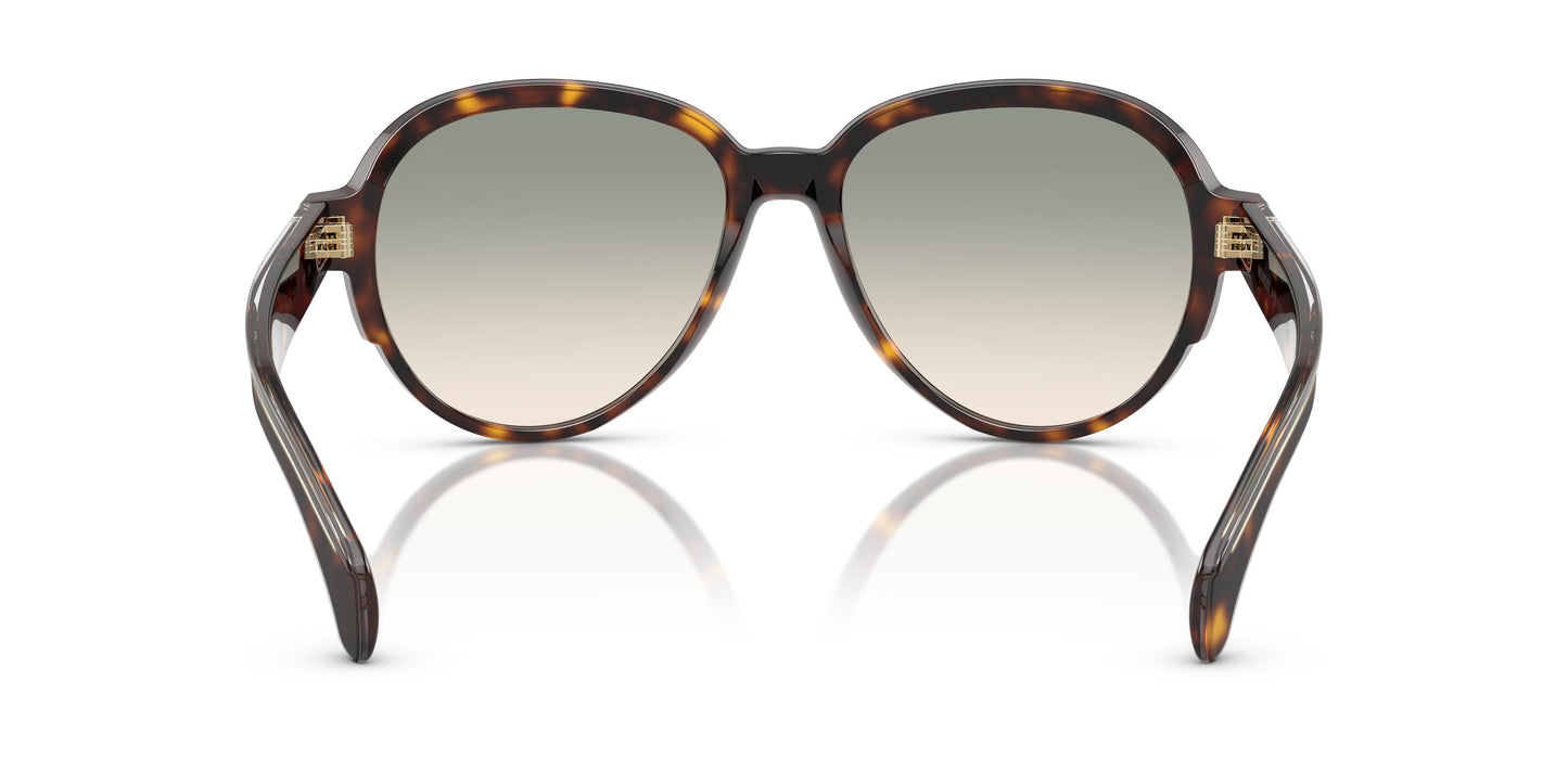 Moncler ME6005 SWANSPAN 30022A 57