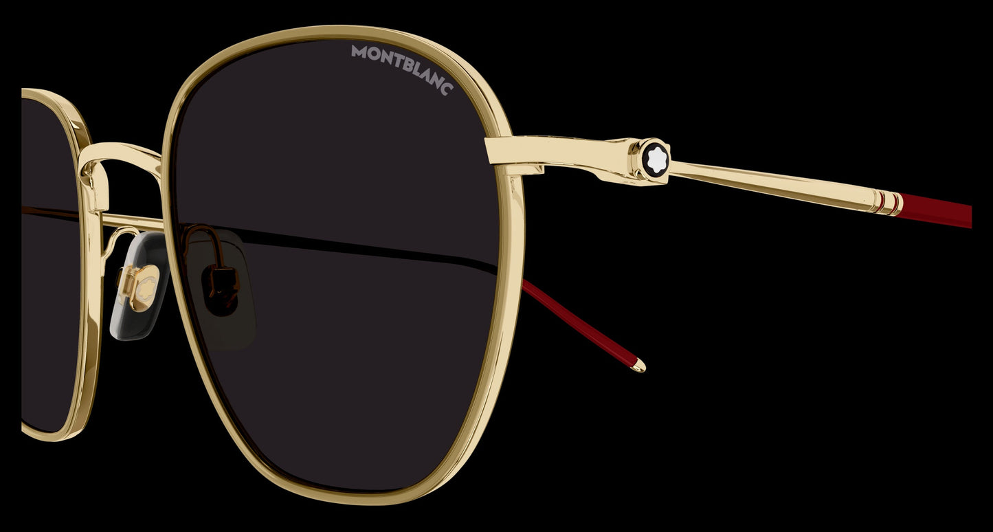 Montblanc MB0160S 010 49