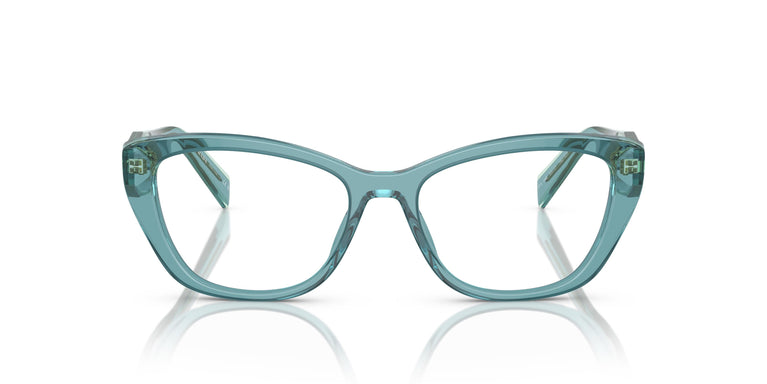 Prada PR 19WV 16J1O1 53
