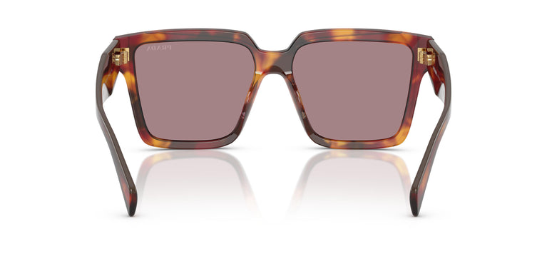 Prada PR 24ZS 22A20I 56