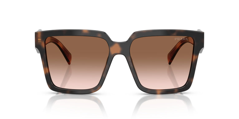 Prada PR 24ZS 23A0A6 56