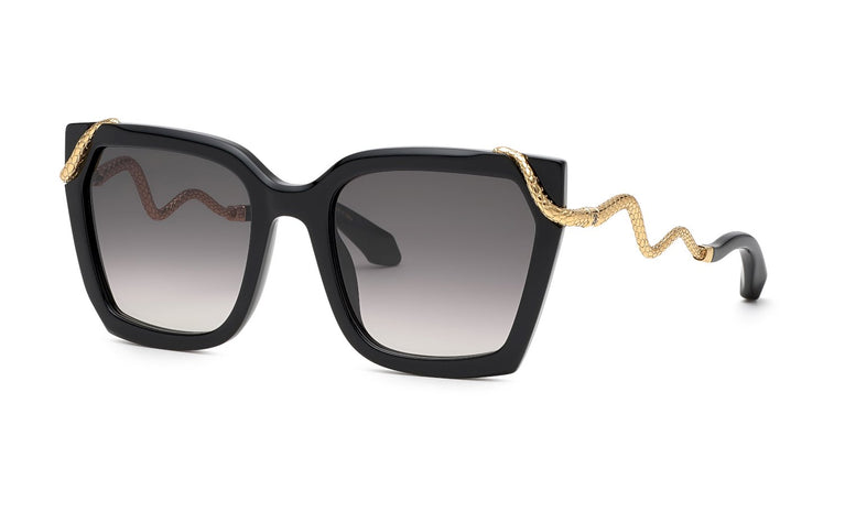 Roberto Cavalli SRC034M 0700 56